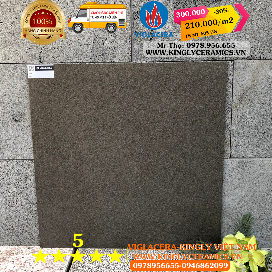 Gạch Granite Viglacera 600x600 TSMT 605